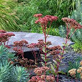 au jardin contemporain